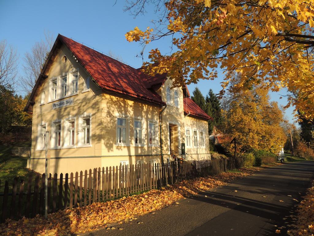 Penzion Haji Janov nad Nisou Exterior photo